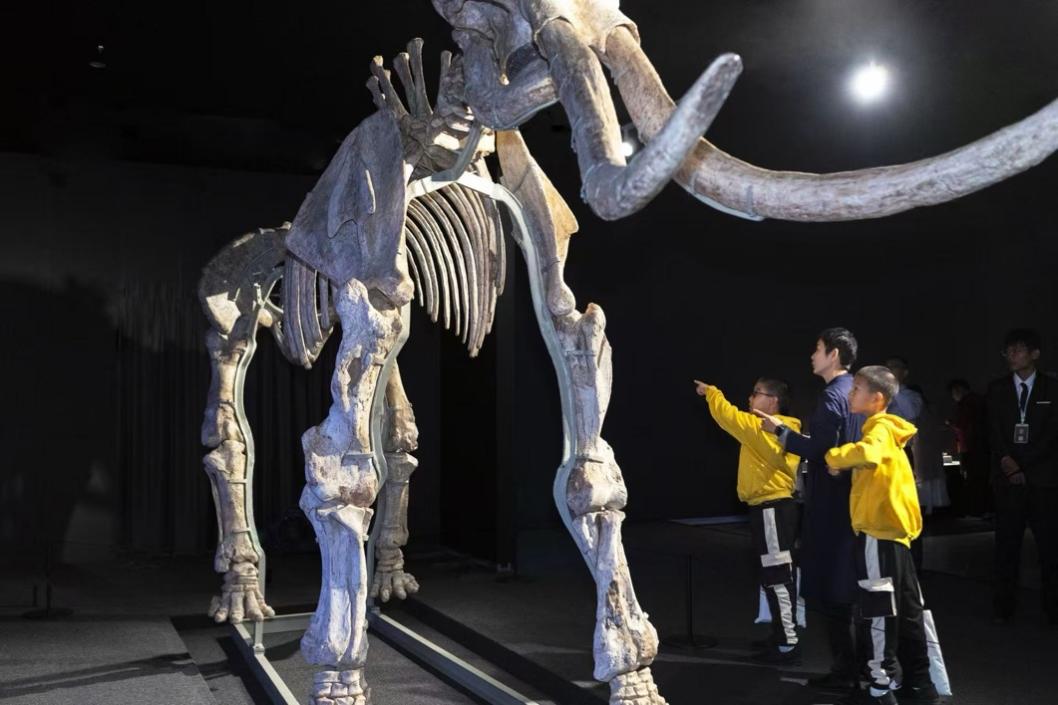 a90a0bdf86d6b78d2995f43638ed98ee