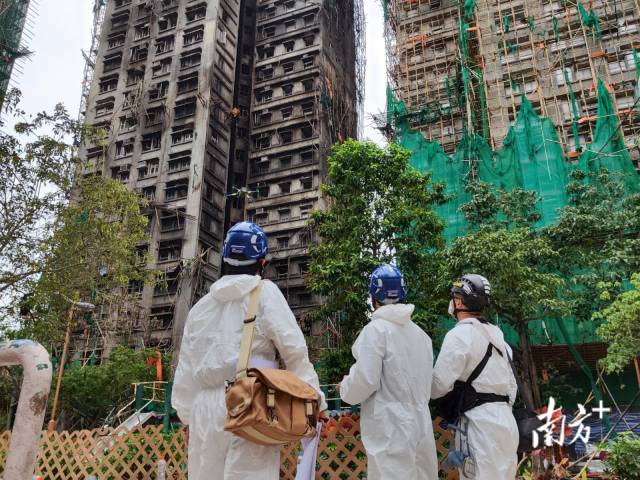 南方+ 陈彧 拍摄