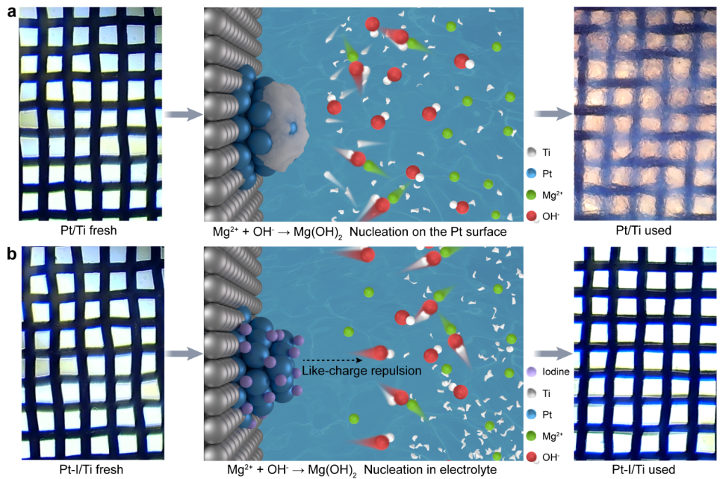 2025121377a8e30bb60d4a4eb0fb84df082a1d4a_16f83bf71b6c43d4902f80071cd80347