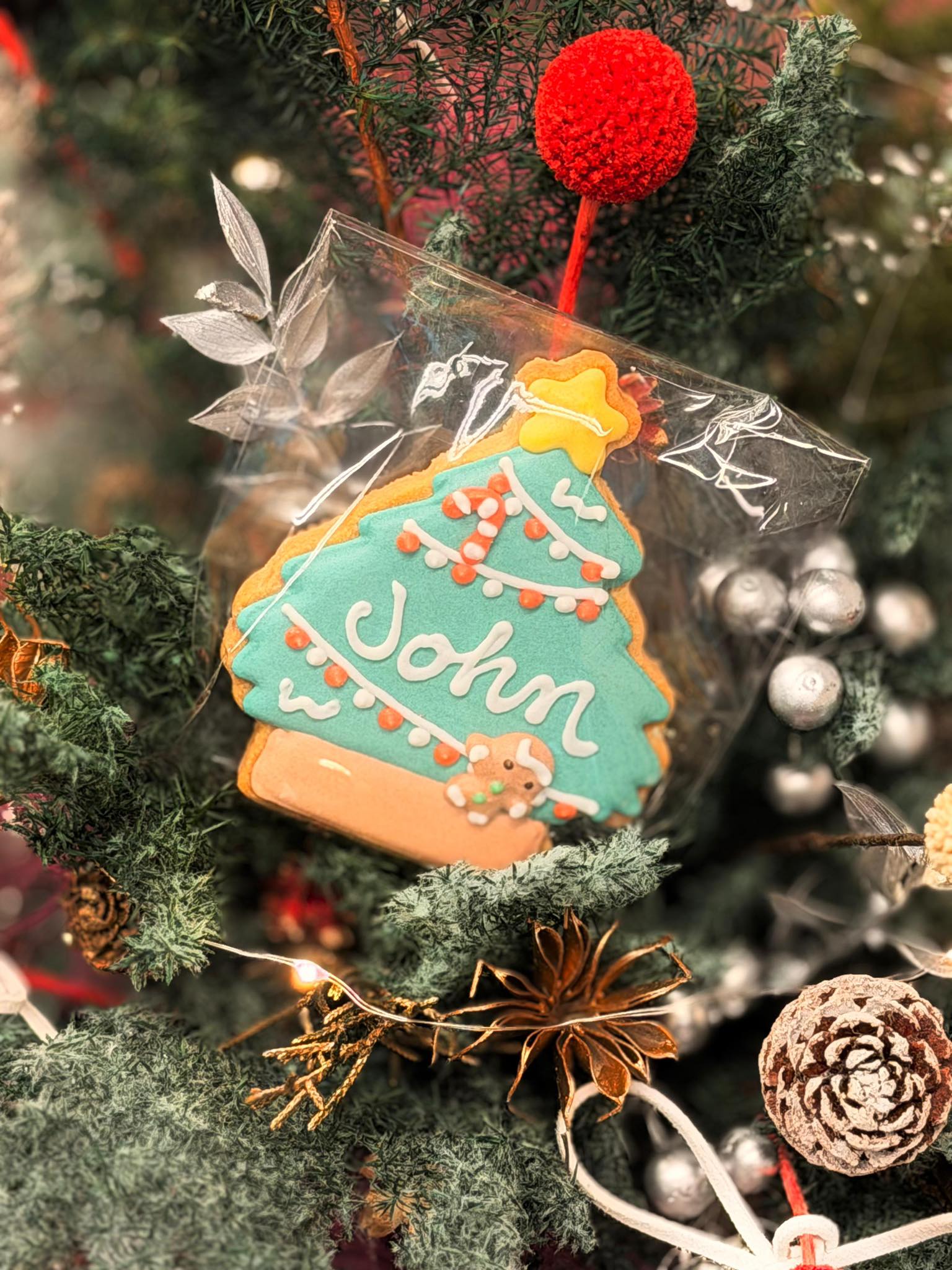 604852838_854064090703791_774590617968597343_n