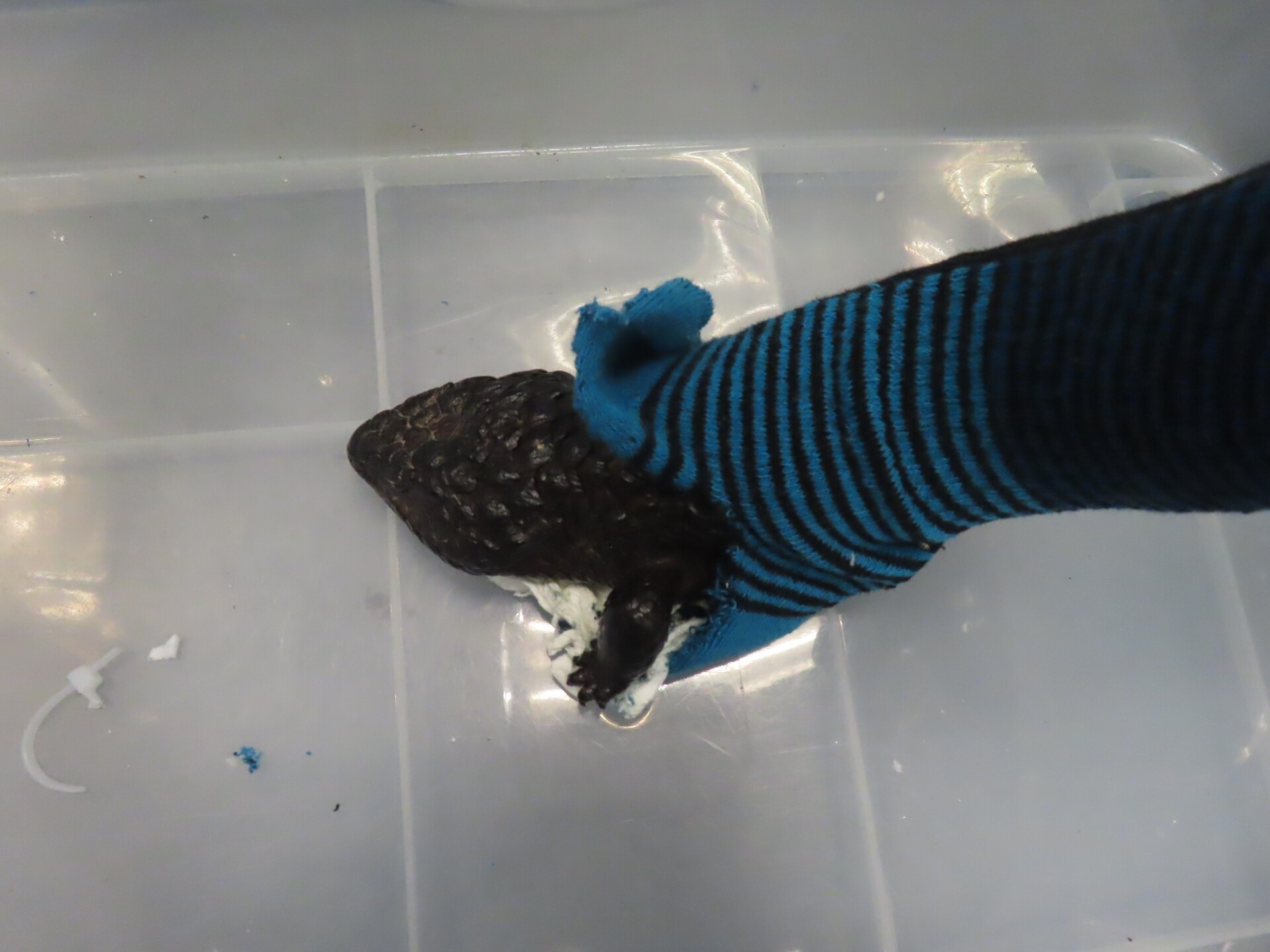 6860B901D59848B5B28FB7E826268780_O