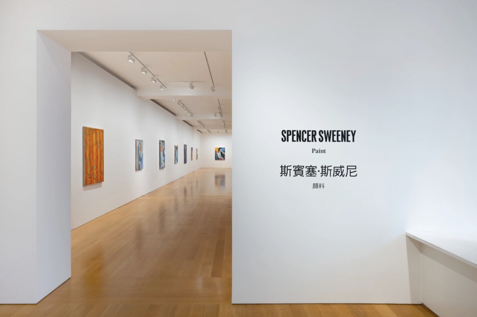 鮮明與沉鬱間的實驗肖像-高古軒舉行藝術家斯威尼全新油畫作品展-顏料