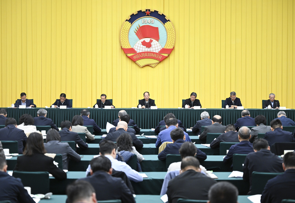 (XHDW)全国政协十四届三次会议提案交办会在京召开++石泰峰讲话XxjpsgC007076_20250325_PEPFN0A001
