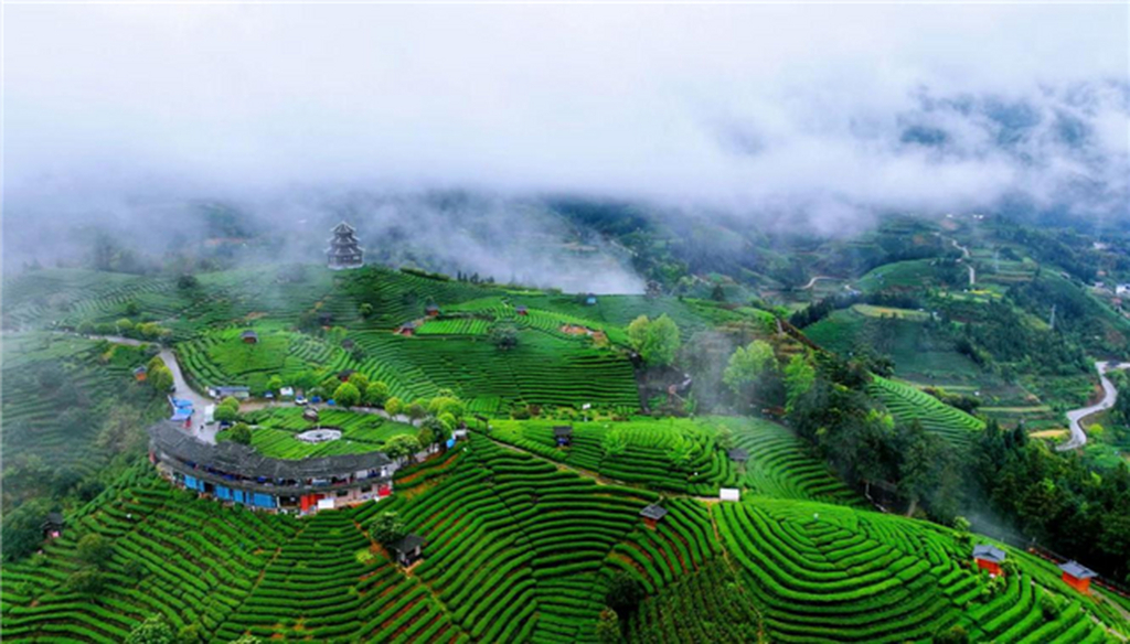 b16511003c662ce370df07517618d17a