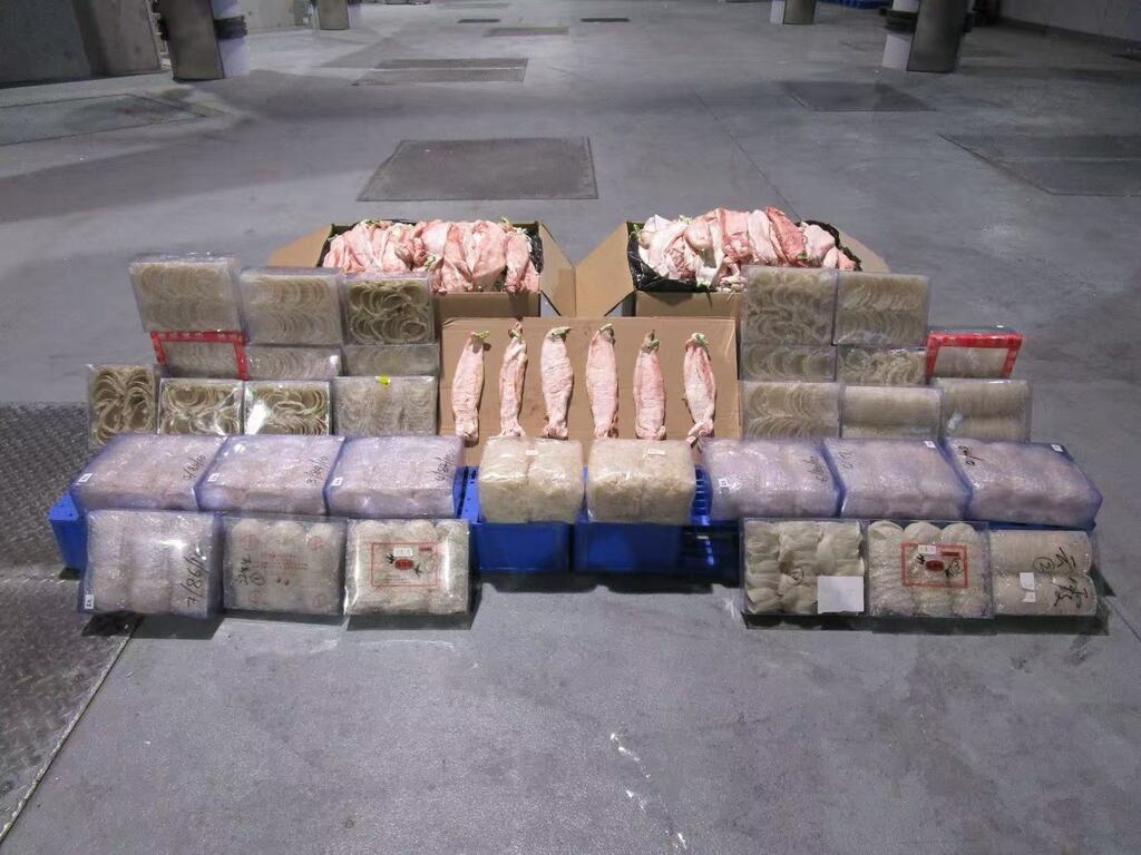 wecom-temp-301630-fa6f2c72fab3a62a1dd5a0c307b3f5f5