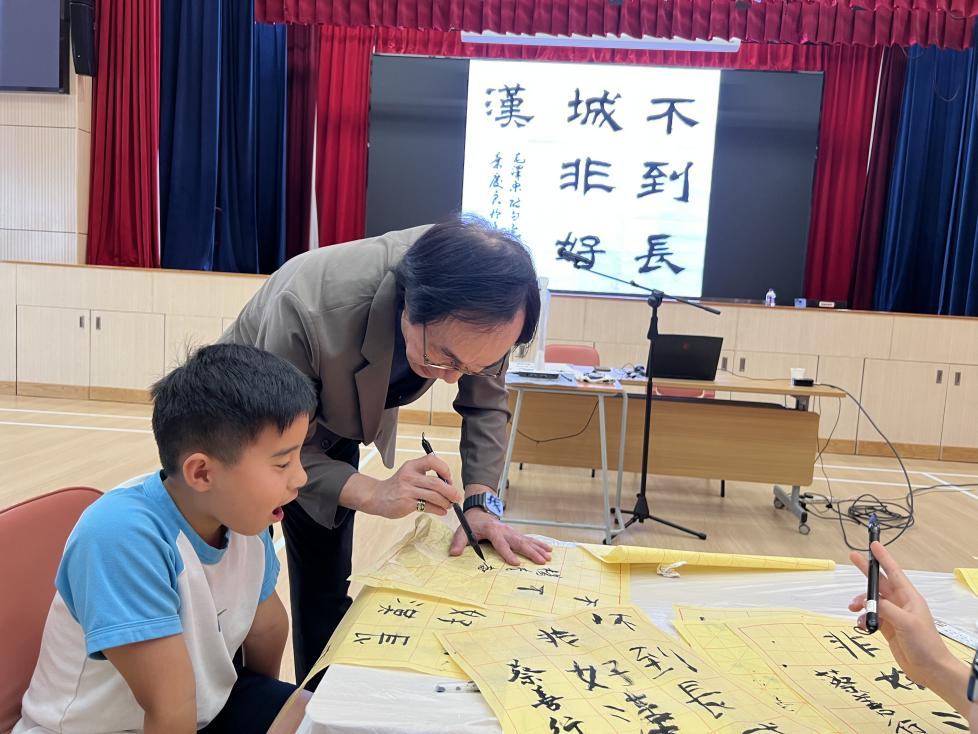 图片6