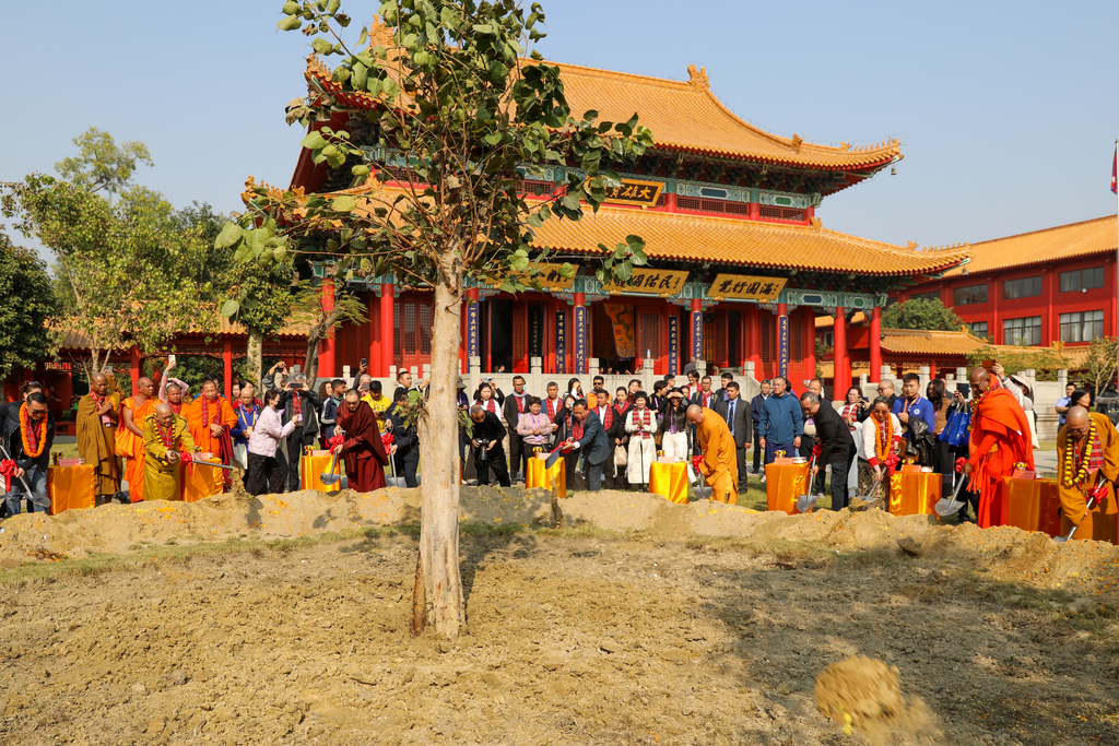 图9