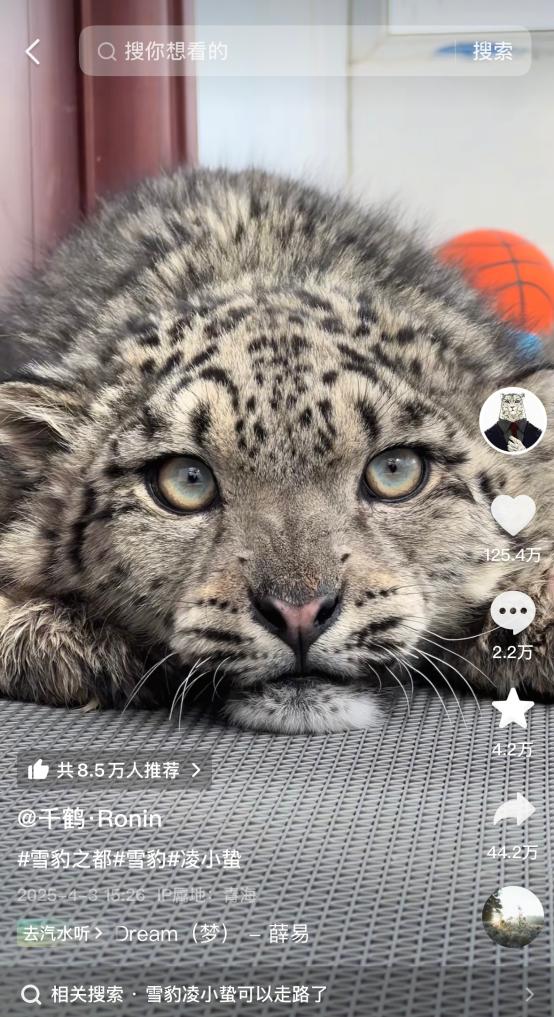 20250522478978ee415f466ba293a121ef47f277_53a1f05f8b054553bf771222fa05d584