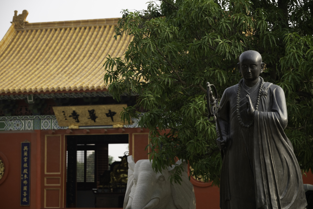 图2