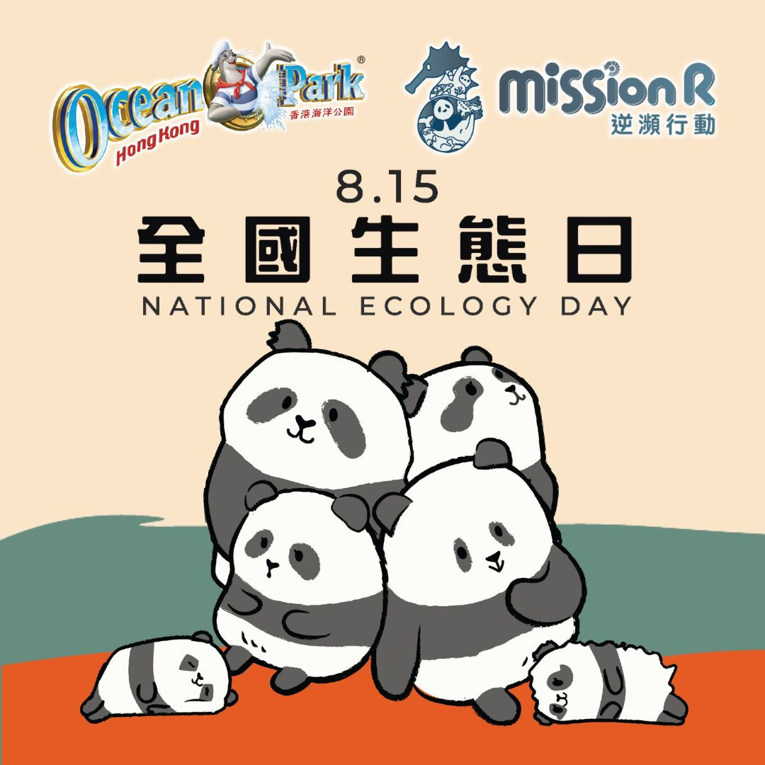 missionr-post-(square)-(3)