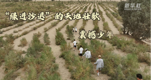 螢幕擷取畫面 2025-08-22 104724