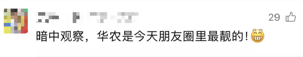 图片8
