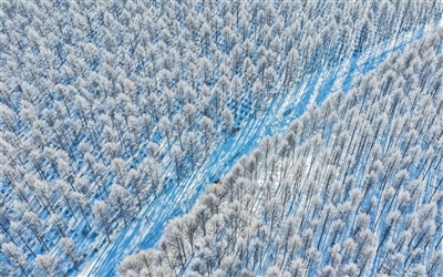 521e1c27-a6a7-44f3-a37e-05eb6e2d08e4