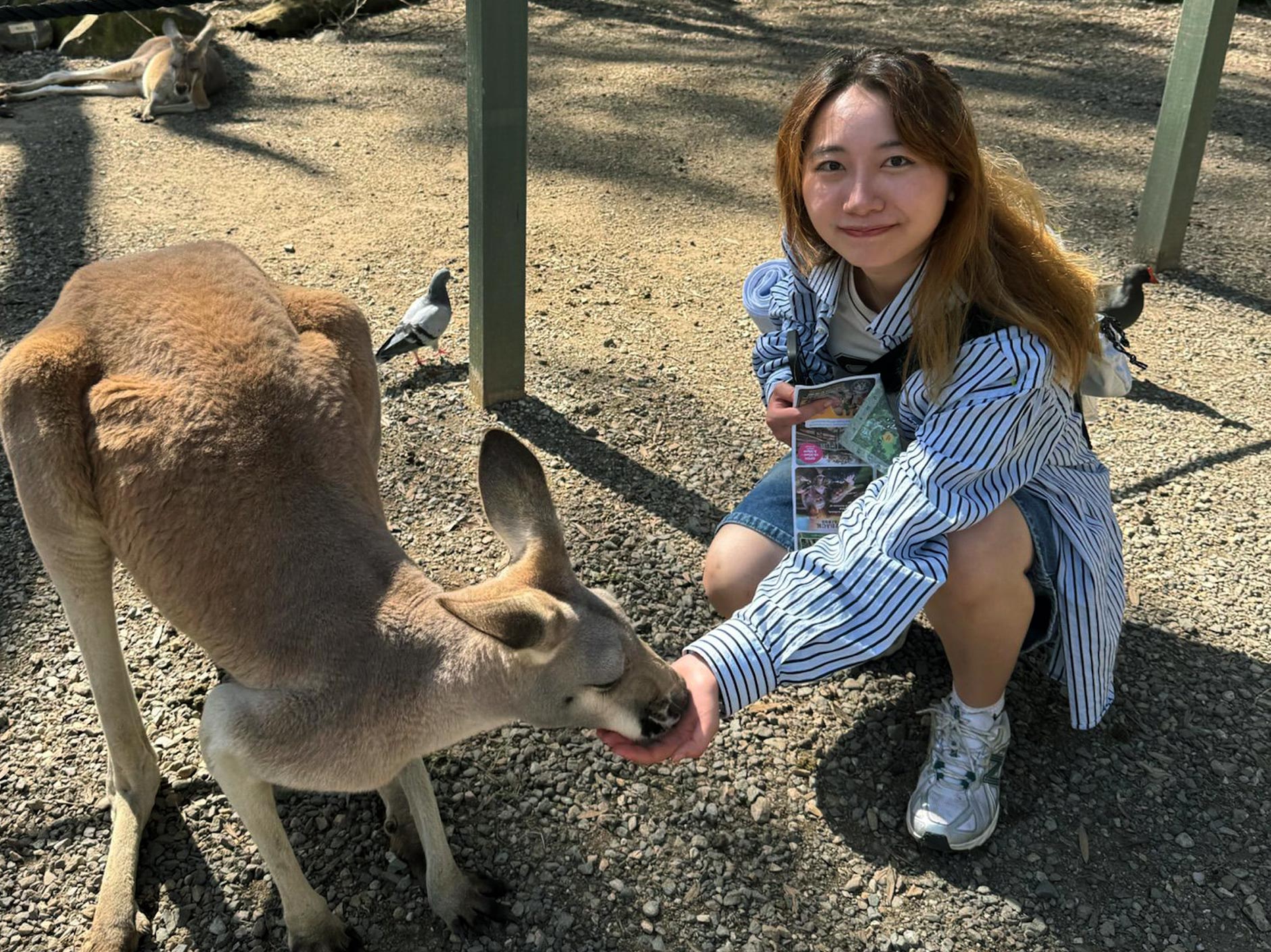 CityUHK students express high satisfaction with the University’s overall learning environment and global learning experiences