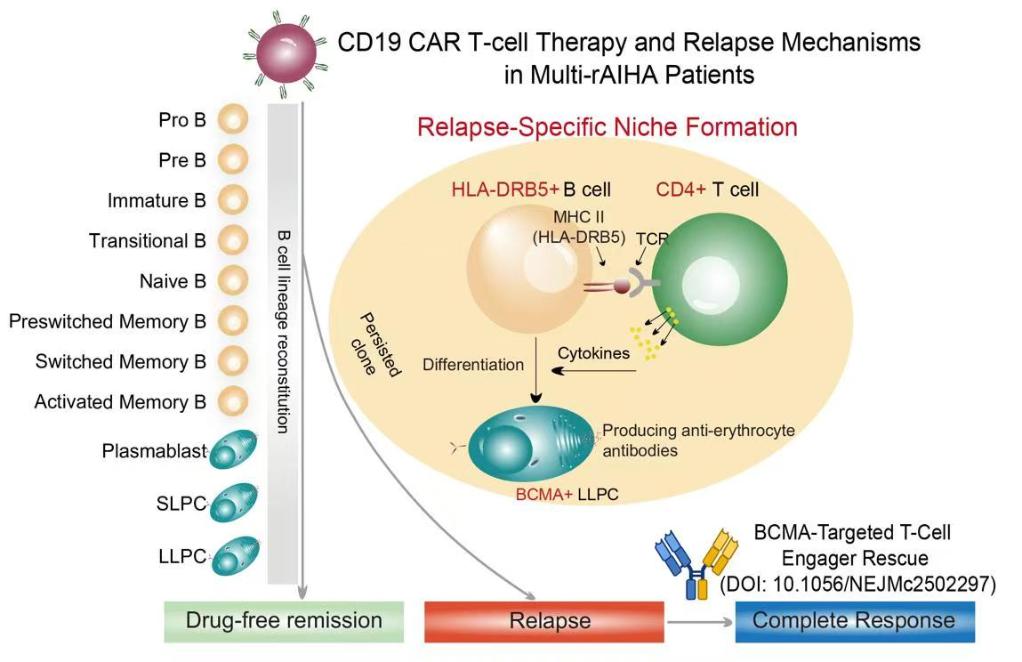 20260115a2acf3509db14b54817c7f9462a44bd7_deb5ac0c14844c339222a865ff813a4c
