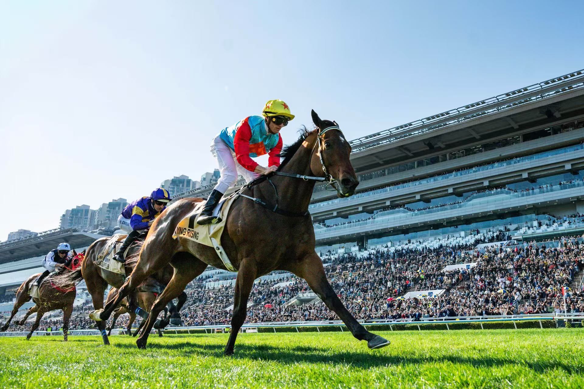 82cab2813e833c8a6789c8e6f51fe6ba