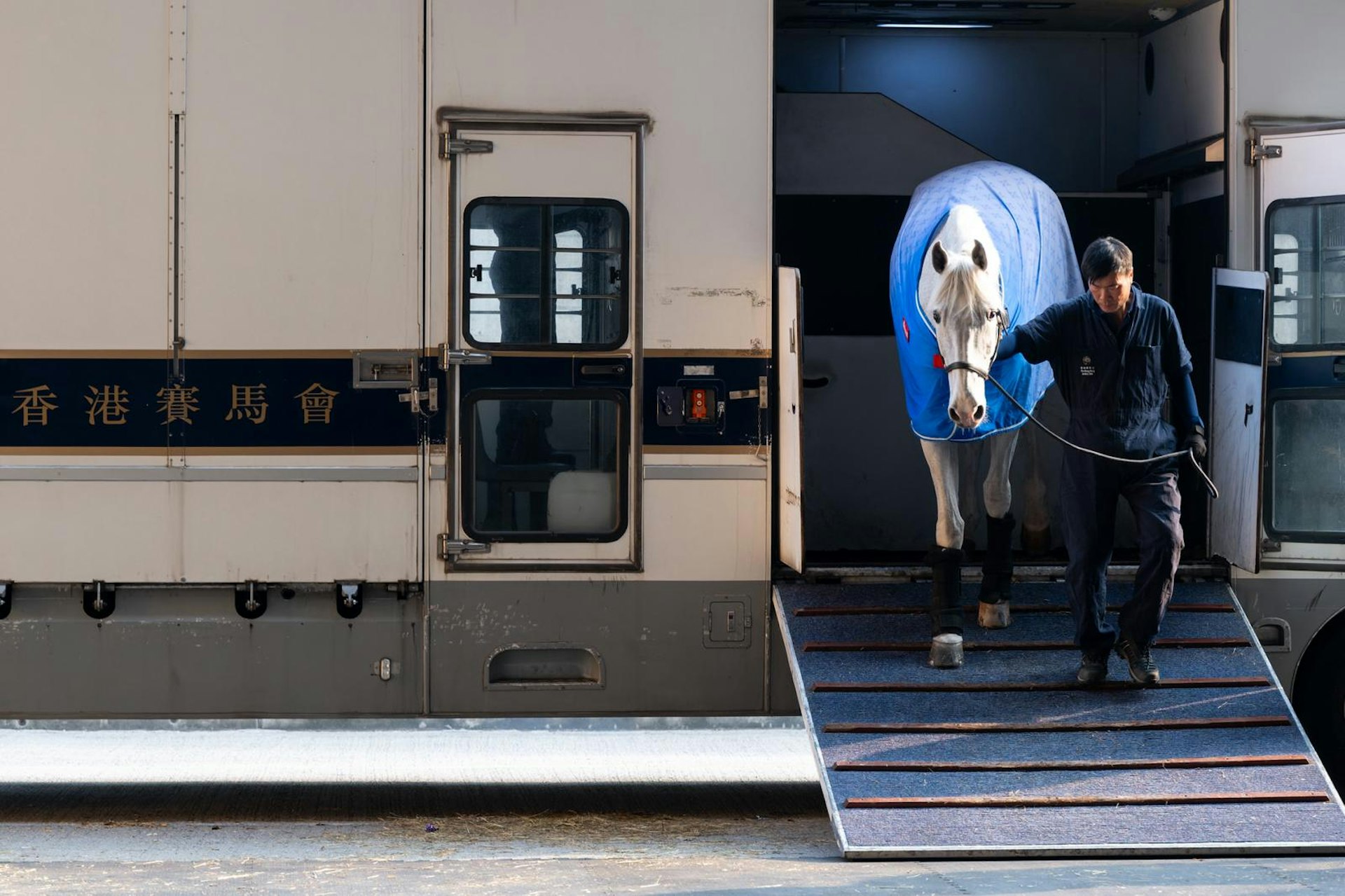圖為2026年1月27日，約60匹參與盛典的馬匹自海外運抵本港，由機場經馬會運馬車前往亞博。（馬會圖片）