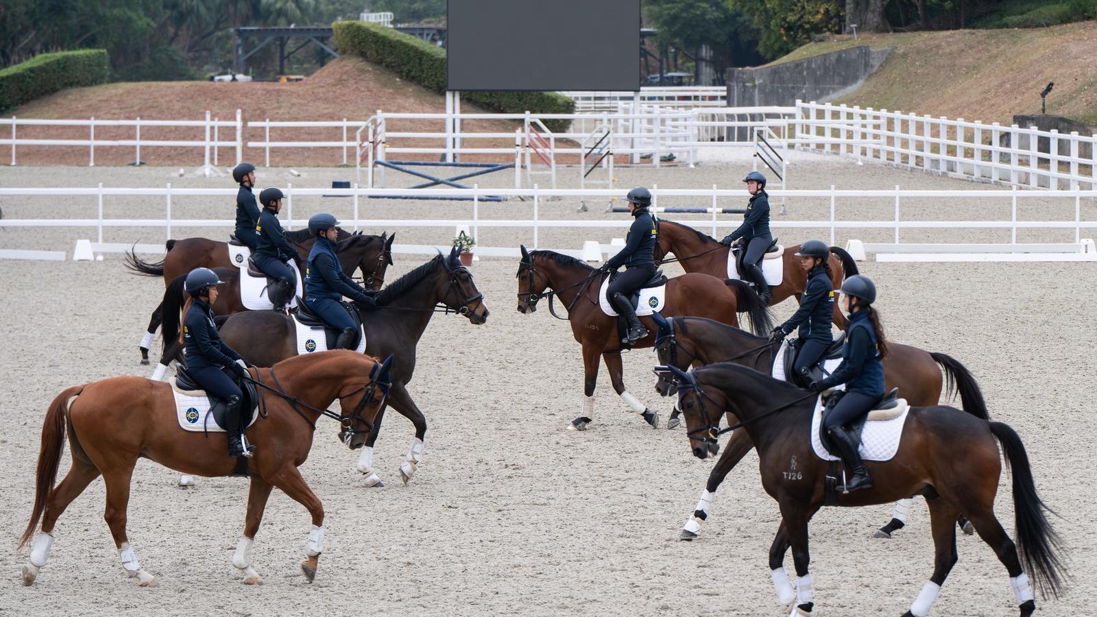 國際馬術盛典今日開鑼　頂級國際騎手雲集亞博館
