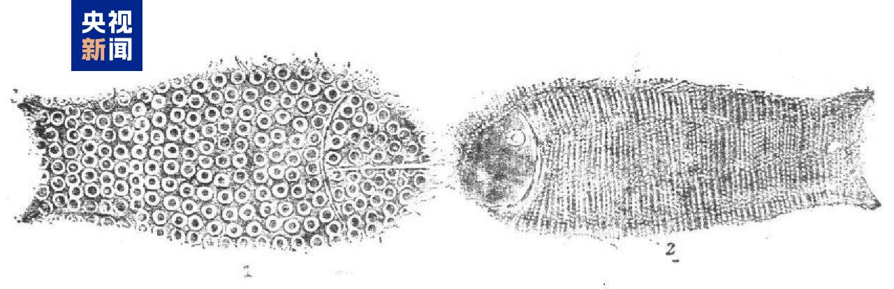 917b4413023542cfa954692030cf566c