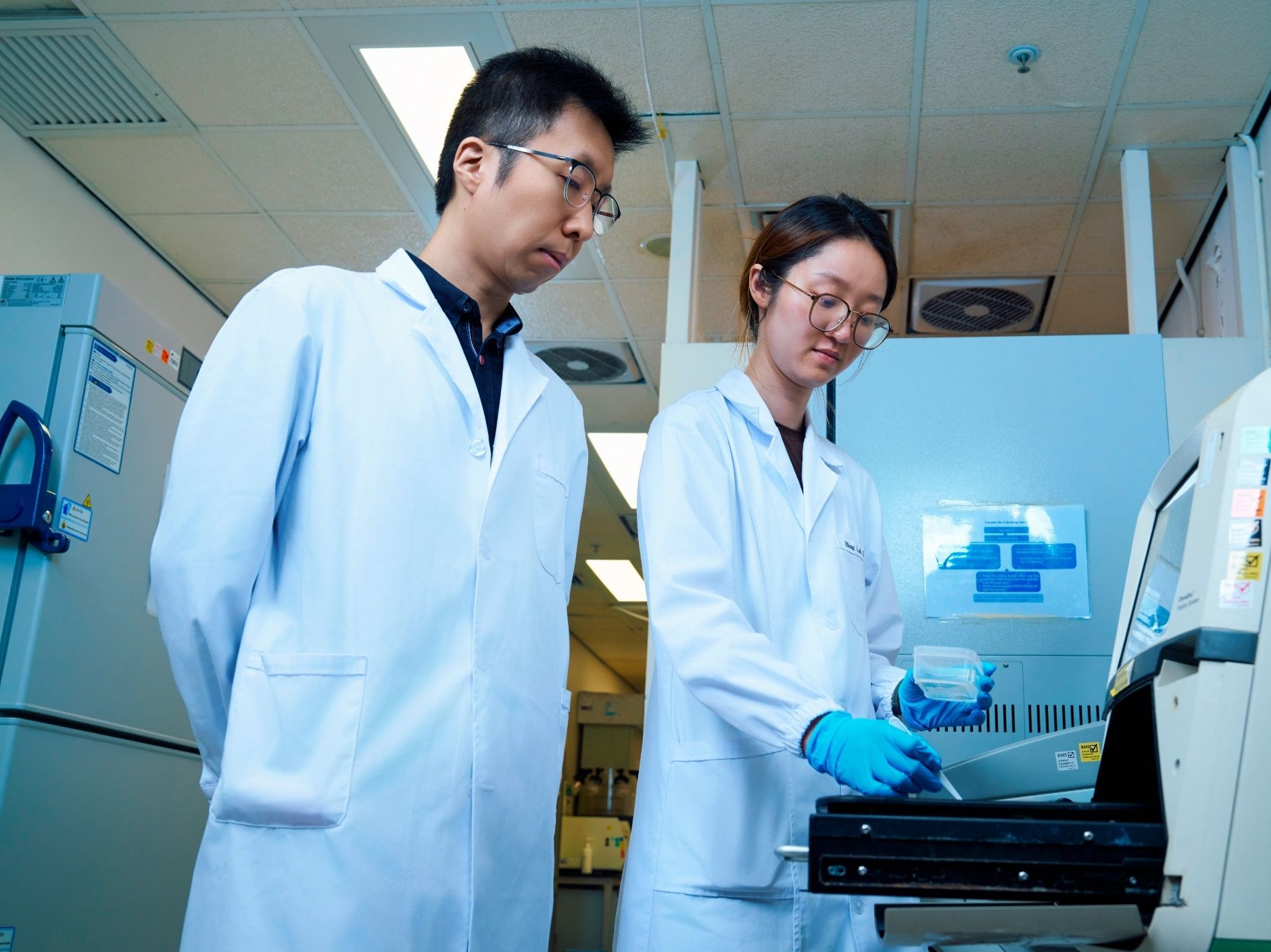 CityUHK research reveals modulating chromatin dynamics of H2B mutations