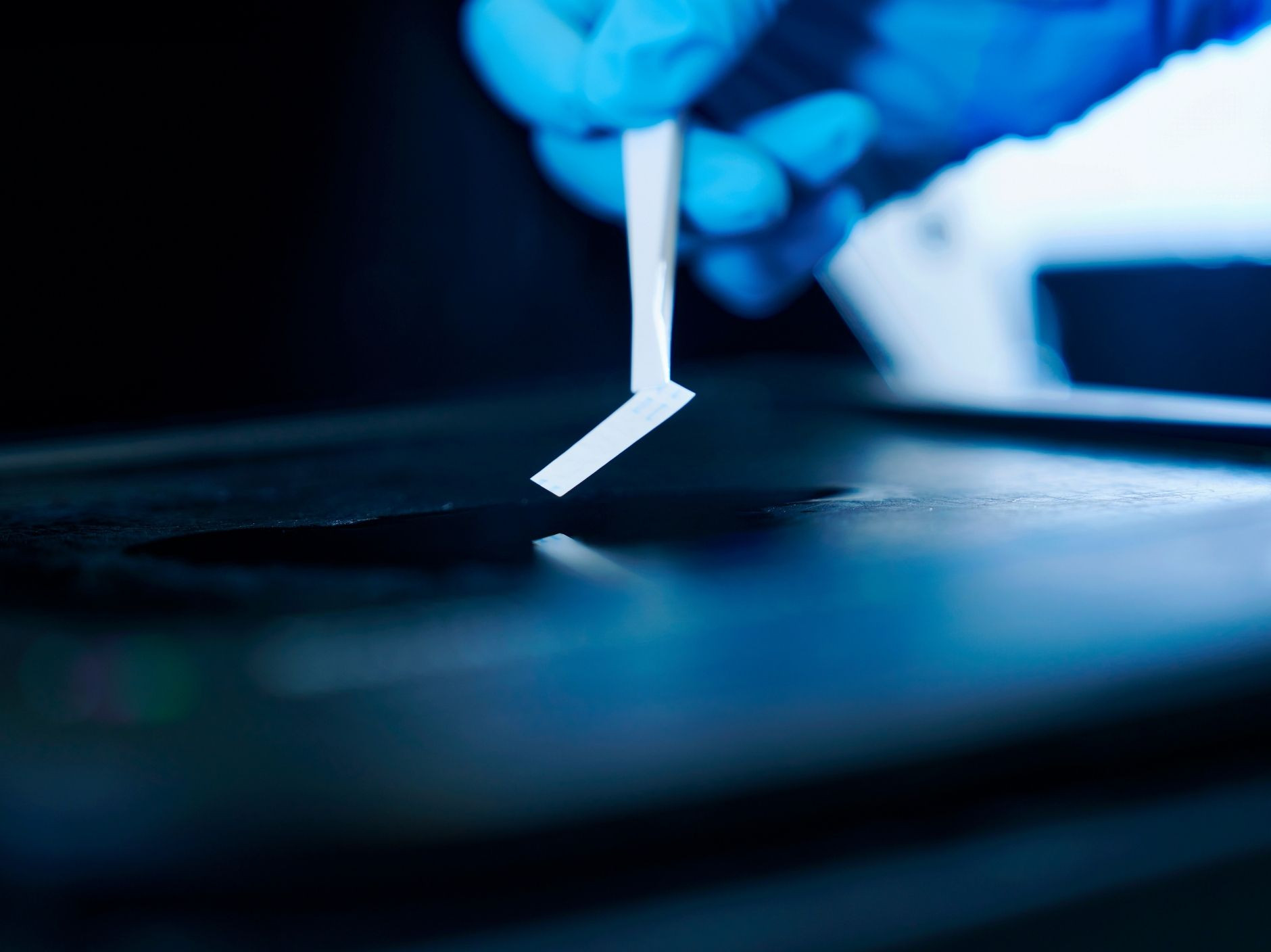 CityUHK research reveals modulating chromatin dynamics of H2B mutations