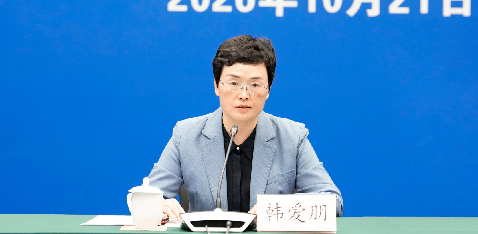 国家知识产权局知识产权运用促进司司长韩爱朋