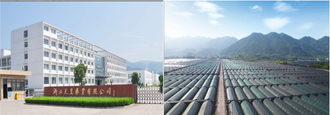 f2479c1ffd5d72f6fb0082c6ded1db8c