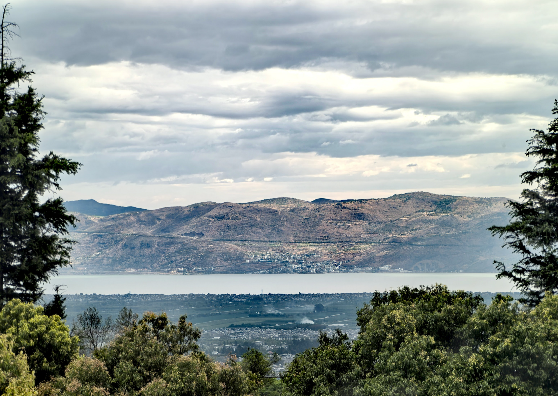 螢幕截圖 2026-02-11 下午2.59