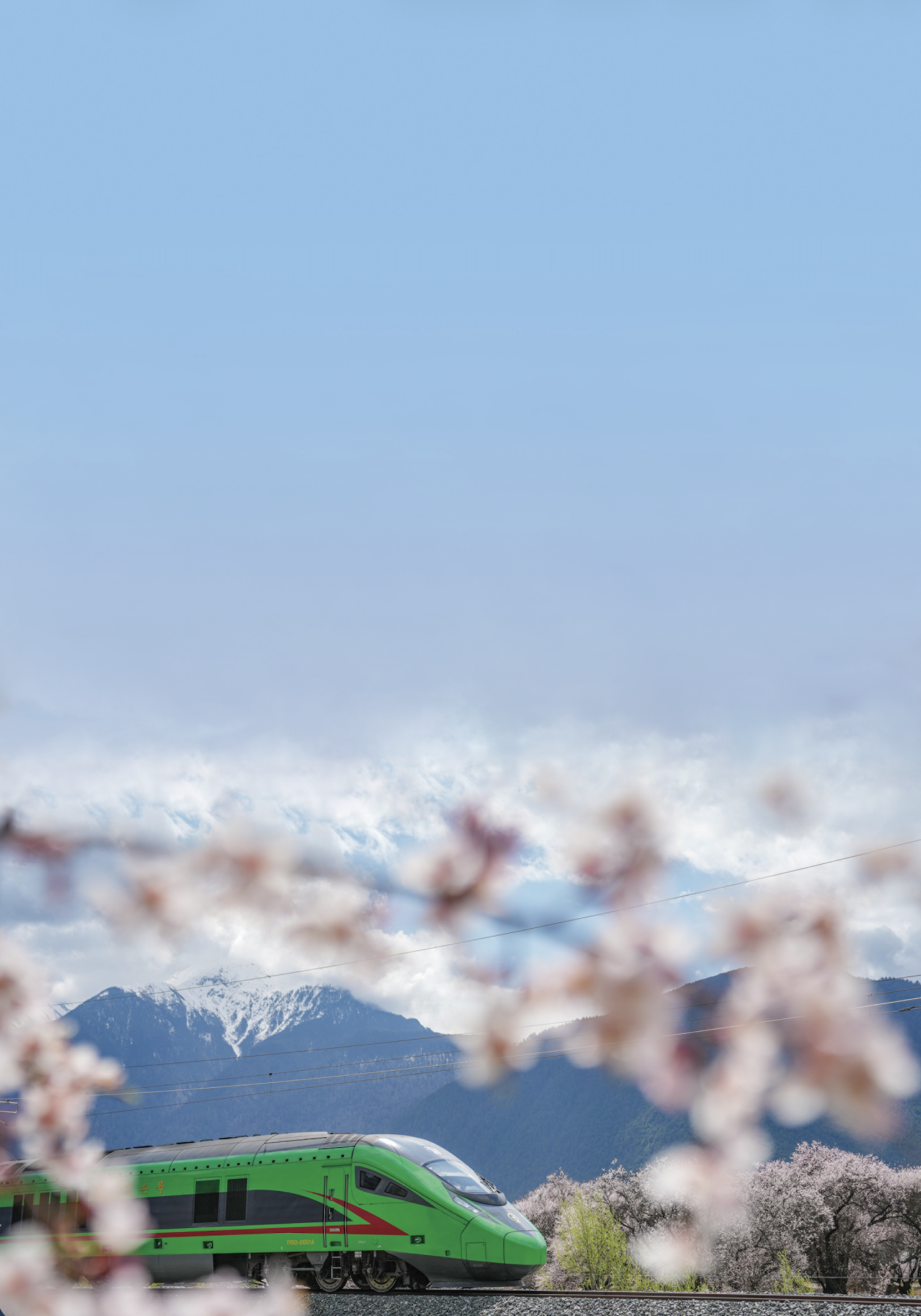 截屏2026-02-04 上午11.54.48