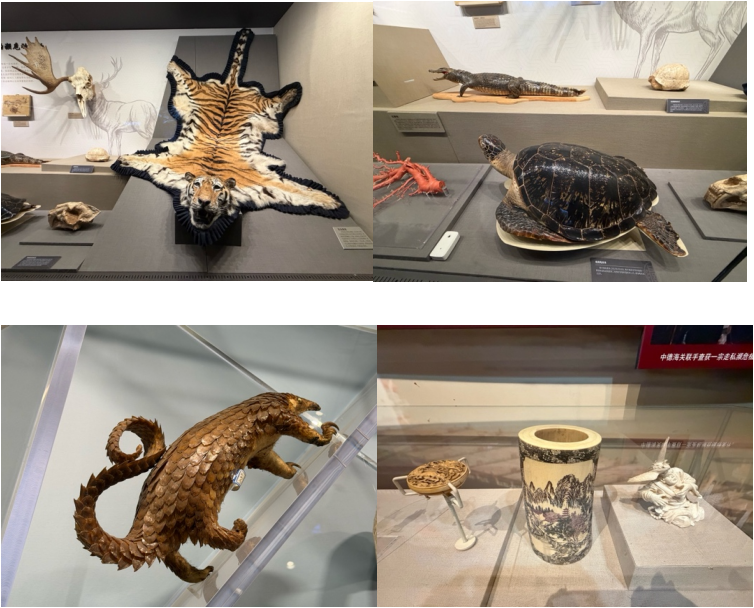 9658fbe0aadaf7638423b7bd2c5a9a81