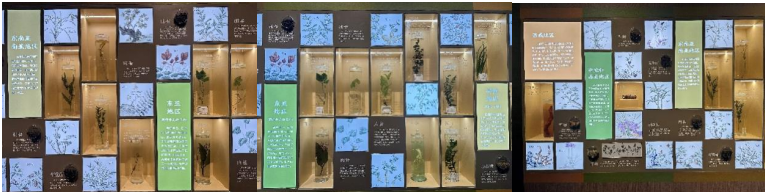 5b8daf266e2f070f78c1e0774377edeb