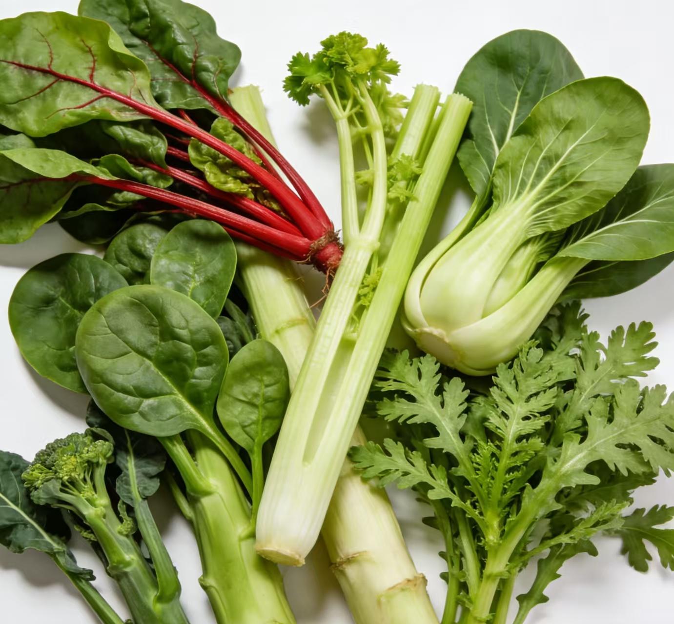 49b3ab67ca26311156bfda5602d81a79