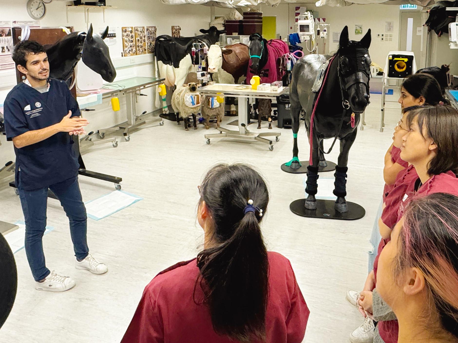 CityUHK Teaching Excellence Award recipients shape the future of learning with innovative technologies