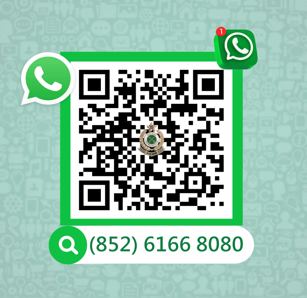 Whatsapp QR Code