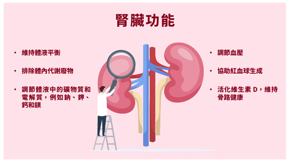 Kidney 1