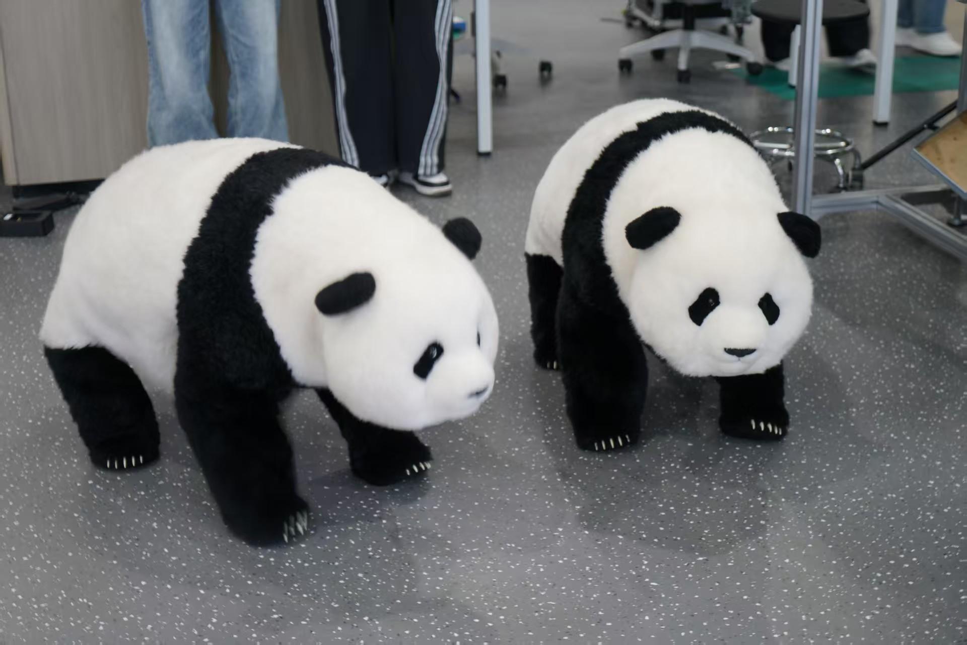 62264ac493e10136fe67030808d3fd2e