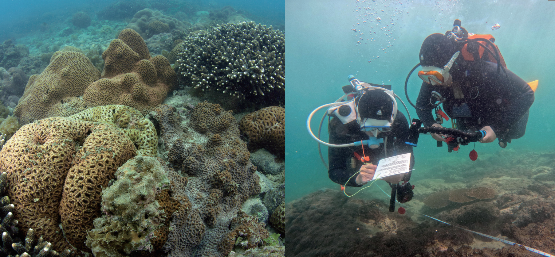 萤幕截图 2026-03-03 上午11.26