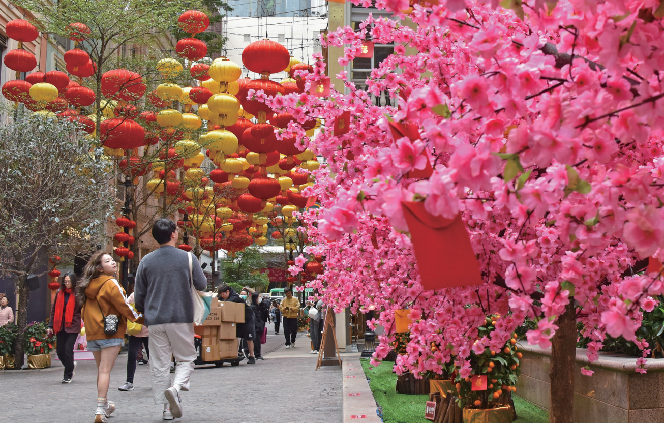 萤幕截图 2026-03-03 上午11.52