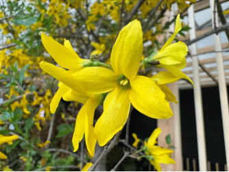 6c39e1400cd36499cfa809667b2ef2ed