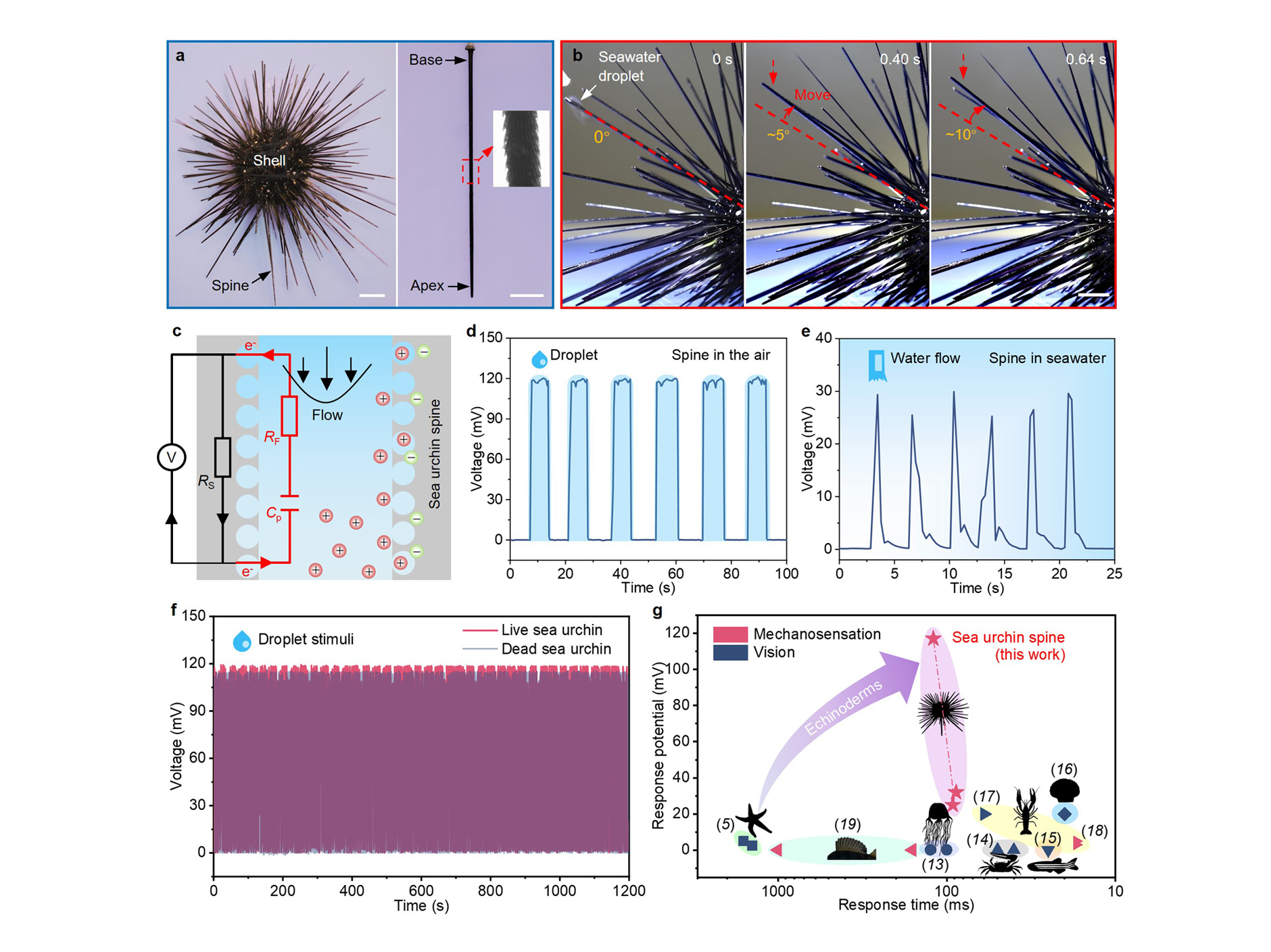 20260226_02_Web Story_1880x1408px