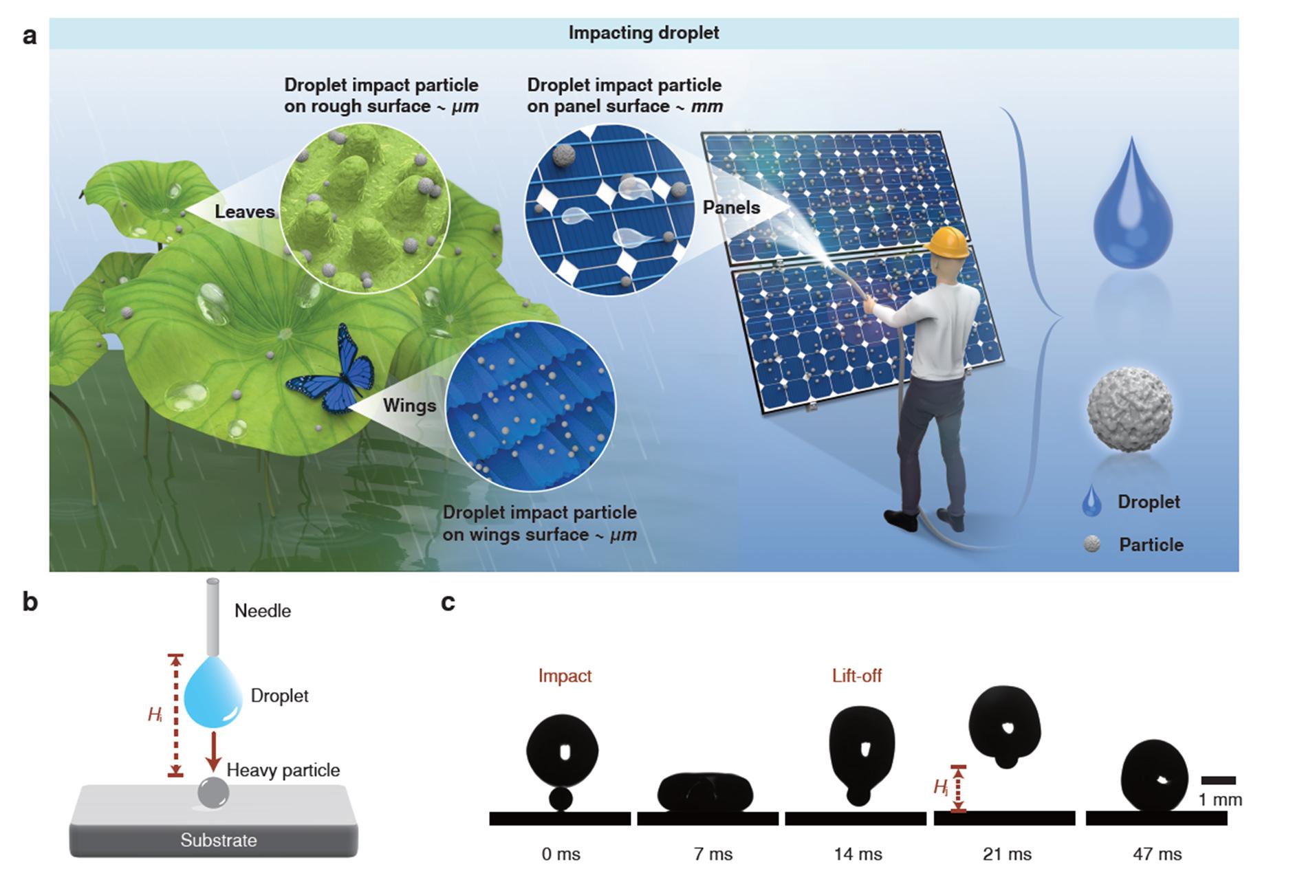 260331-4_Liquid-Droplet-Mop