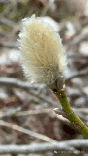 6d843af6d8c7a5956681257015dc88cf