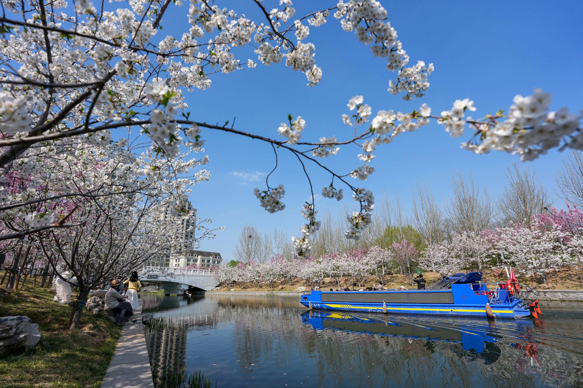 北京：春意漾花溪（2）XxjpsgC000068_20260402_PEPFN0A001