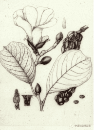 dfb69fe418243930755c3be002090016