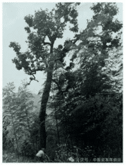 e2b29eeb22a4d1357192a4baed34d9e1