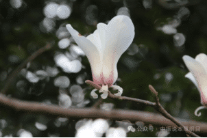 c39a1cfe69510268c0319ed24862da9f