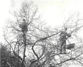 adeb52dda320080c1976526423908fbc