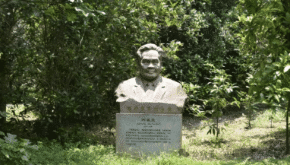 2361fb53a09b683c7e010ace5ca74384