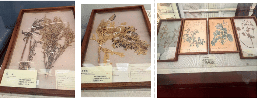 ffb4f8df81800c69e44757f676230363