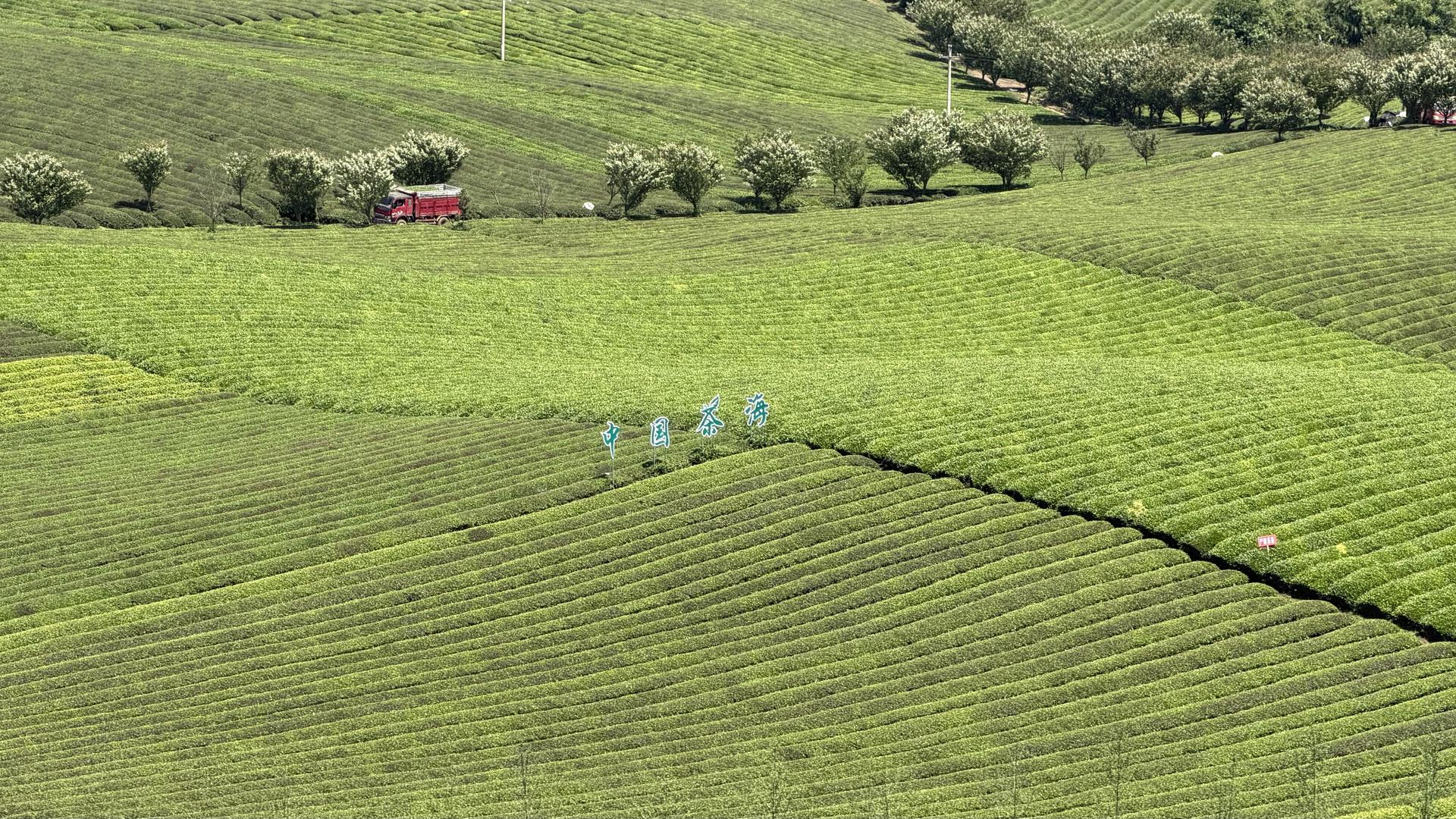 b67b8bf69d876b18e511ef7361b51951